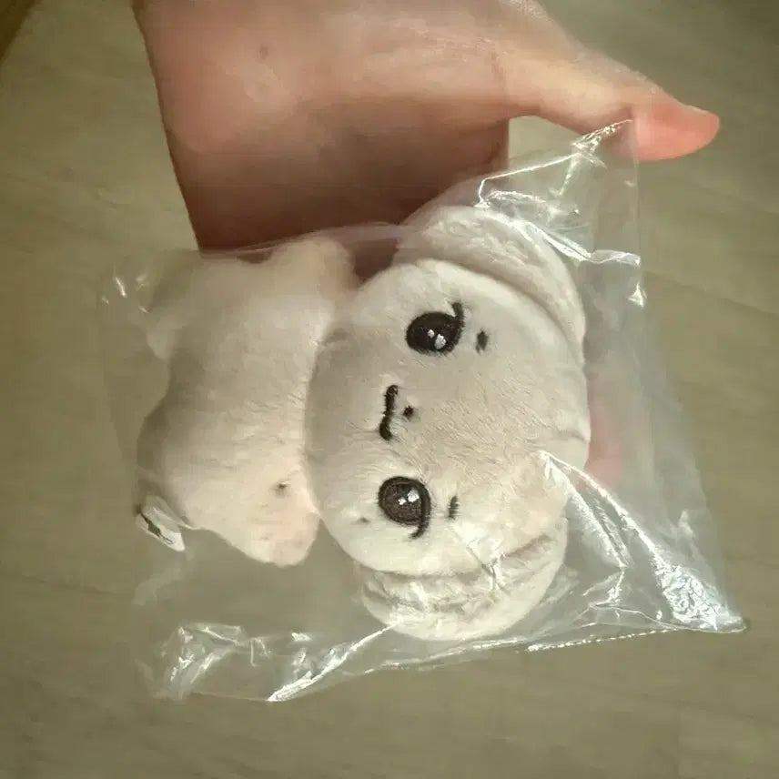 [BUNJANG] Ahn Hyo-seop Doll Mint Condition / 안효섭 인형