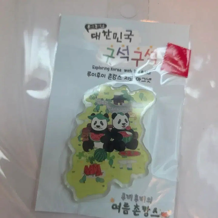 [BUNJANG] Louis Quatorze Kangse Magnet New Product / 루이후이촌캉스마그넷 고창 새상품