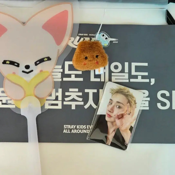 [BUNJANG] Stray Kids Limited Concert STAY Zone Entry Gift Bundle Set Photocard / 스키즈 막막콘 스테이존 8/2 스테이 입장 기프트 8장 포카 일괄