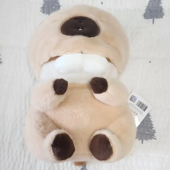 [BUNJANG] Woosoo Woosoo-chan Brown Medium Plush 27cm / 속았지 우소우소짱 브라운 중형 인형 27cm