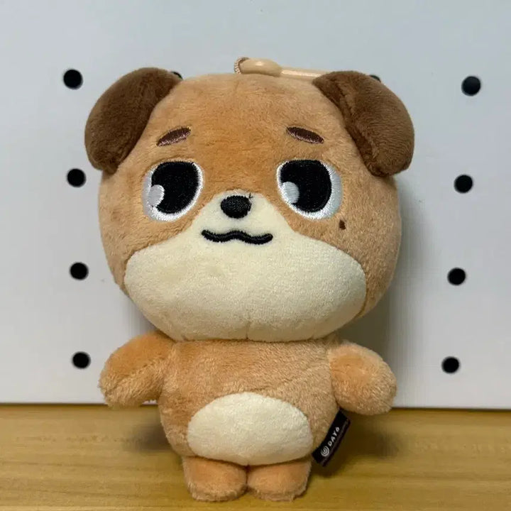 [BUNJANG] Day6 Young K Bundle Set / 데이식스 방,필 일괄 2.0