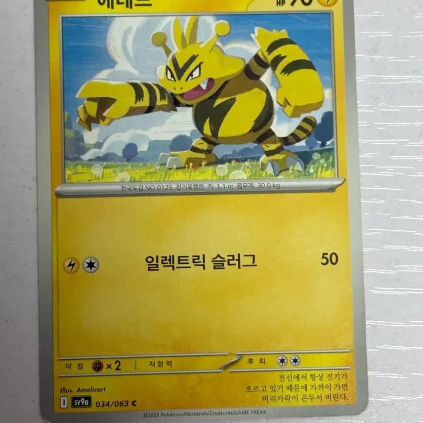 [BUNJANG] Pokemon Card Erebu 034 / [귀여운 포켓몬카드] 에레브 034