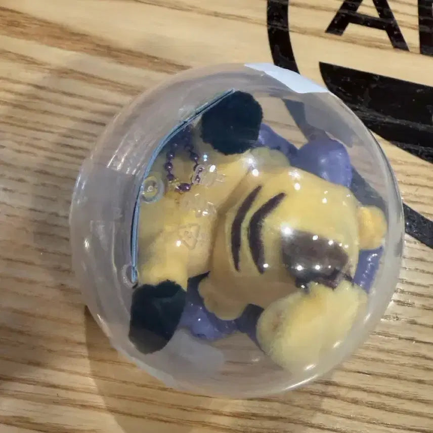 [BUNJANG] Pokemon Busan Pop-up Gacha Tube Mascot Pikachu / 포켓몬 부산 팝업 가챠 튜브 마스코트 피카츄