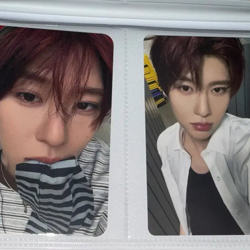[BUNJANG] NCT Wish Zion Bundle Set Photocard / 일괄) 요이돈 시온 보밋걸 개인반 단체반 포카 양도 엔시티위시