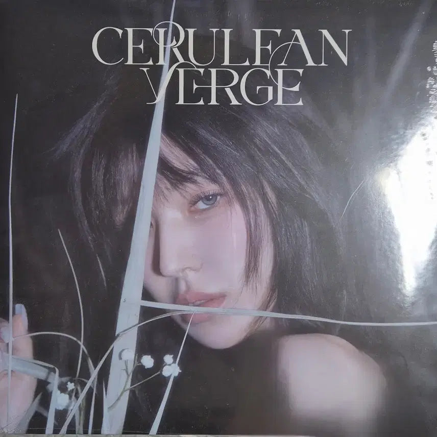 [BUNJANG] Wendy 3rd Album LP (Sealed) / [미개봉] 웬디 3집 LP