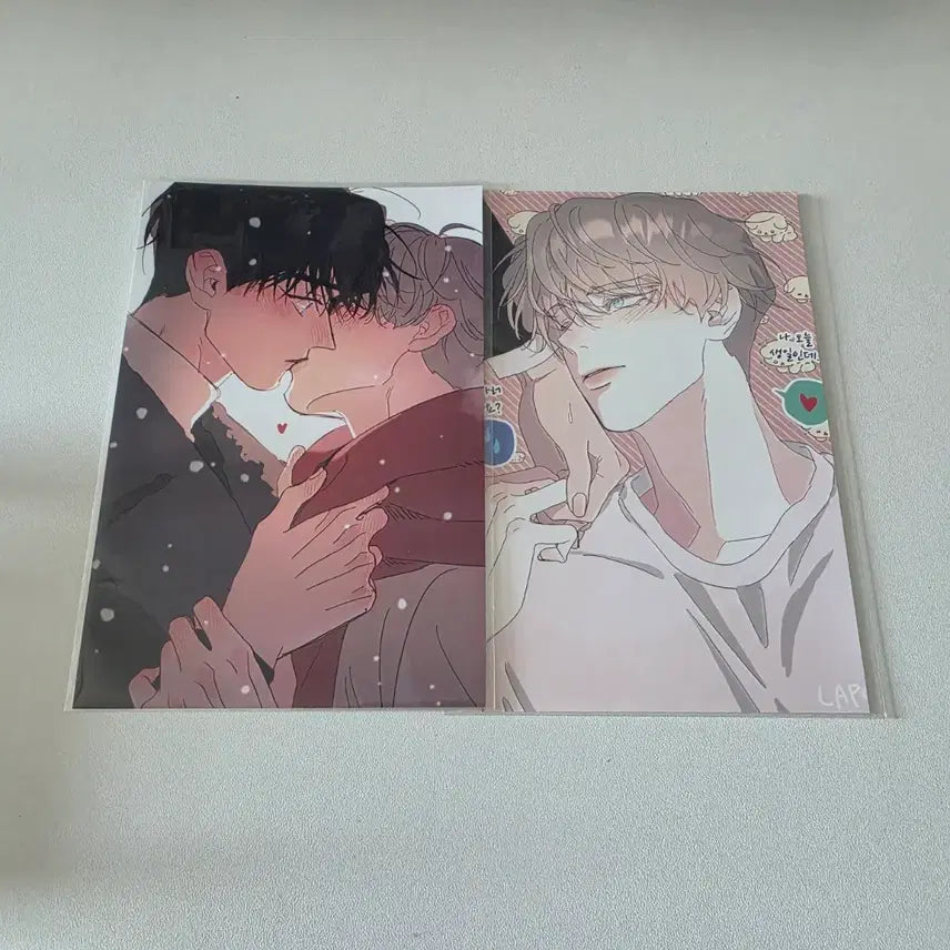 [BUNJANG] No Roots Tree Print Box Bundle Set / 뿌리없는나무 프박 일괄판매 뿌없나
