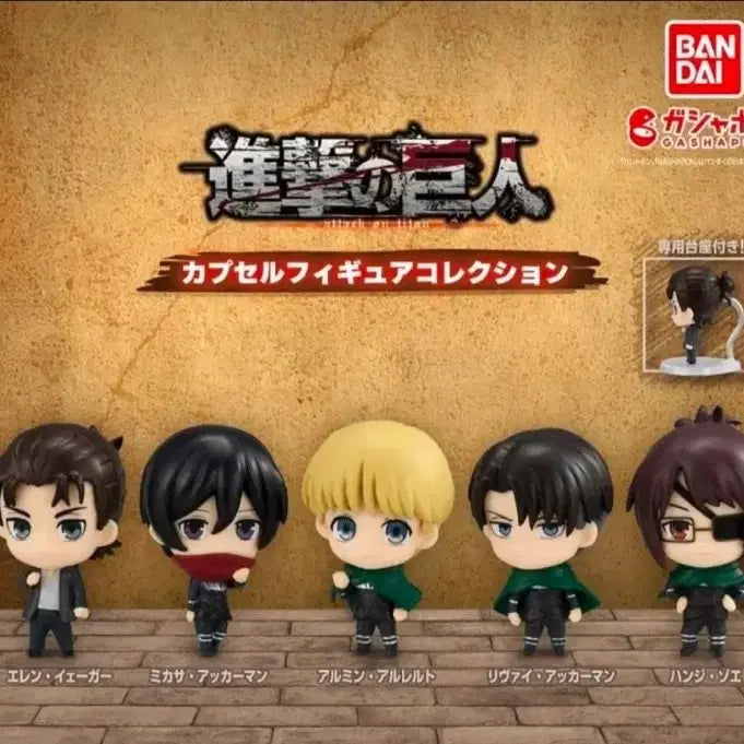 [BUNJANG] Attack on Titan Standing Figure Collection Set (Eren, Levi, Mikasa, Armin, Hange) / 5종 세트) 진격의거인 스탠딩 피규어 컬렉션/ 에렌 리바이 미카사 아르민 한지