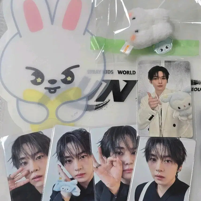 [BUNJANG] Stray Kids SKZOO Run It Concert In-Person Gift Set - Lee Know / 스키즈 런 잇 콘서트 리노 입장기프트 MD 오프 포카 세트