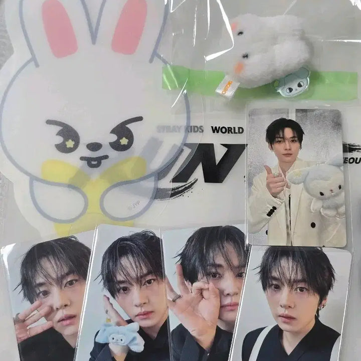 [BUNJANG] Stray Kids SKZOO Run It Concert In-Person Gift Set - Lee Know / 스키즈 런 잇 콘서트 리노 입장기프트 MD 오프 포카 세트