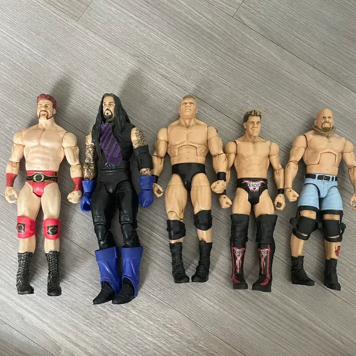 [BUNJANG] WWE Action Figure Bundle Set / wwe 피규어 일괄판매