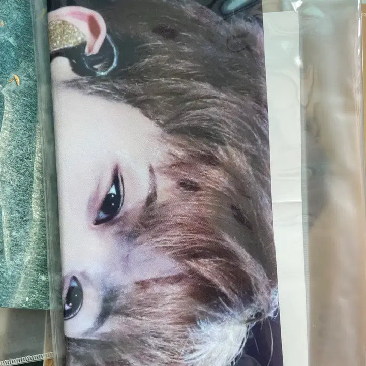 [BUNJANG] Critical Hit Mark Slogan / 크리티컬 히트 마크 슬로건