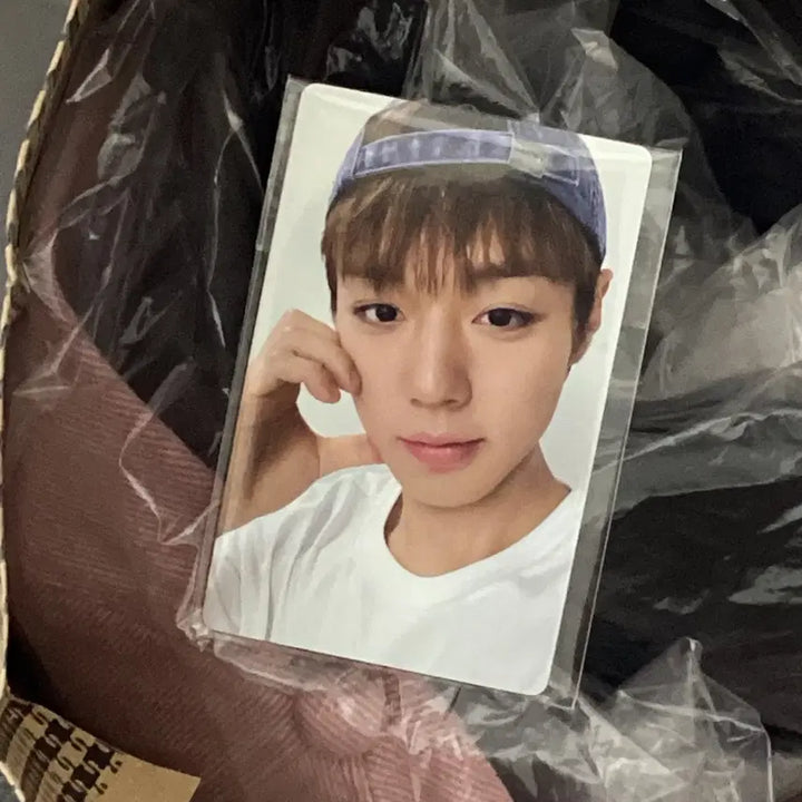 [BUNJANG] Park Jihoon Superdry Bromide &amp; Photocard Set / 박지훈 슈퍼드라이 브로마이드 &amp; 포카세트