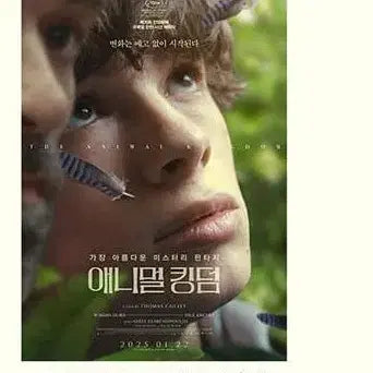 [BUNJANG] Animal Kingdom Korean First Edition Poster / 애니멀 킹덤 국내 1차 포스터
