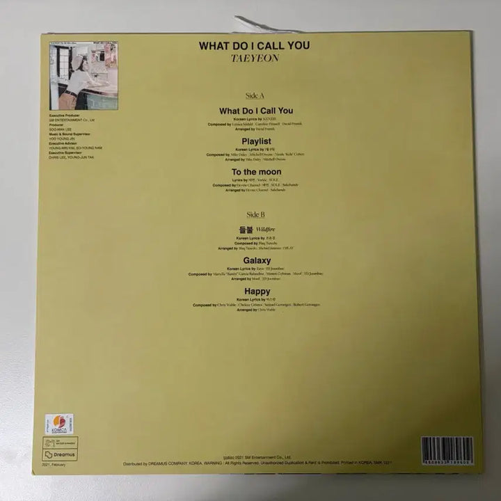 [BUNJANG] Taeyeon What Do I Call You LP / 태연 what do i call u LP