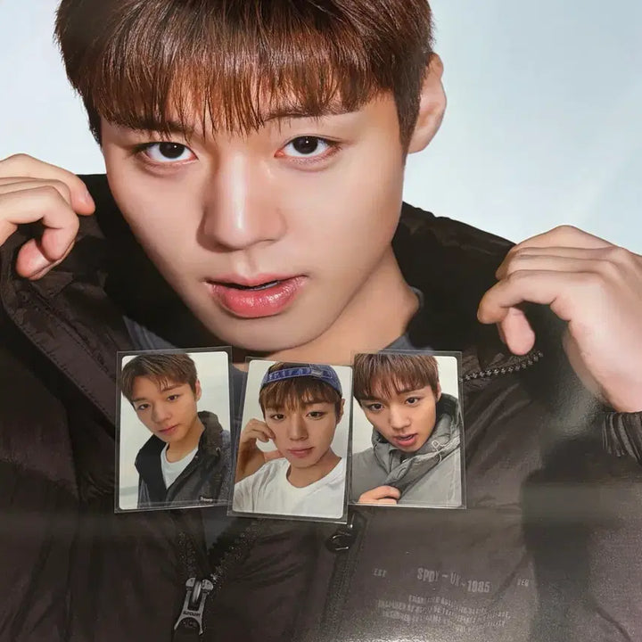 [BUNJANG] Park Ji Hoon Superdry Photocard and Poster Set Bundle / 슈퍼드라이 슈드 박지훈 포토카드, 포스터 세트 일괄판매