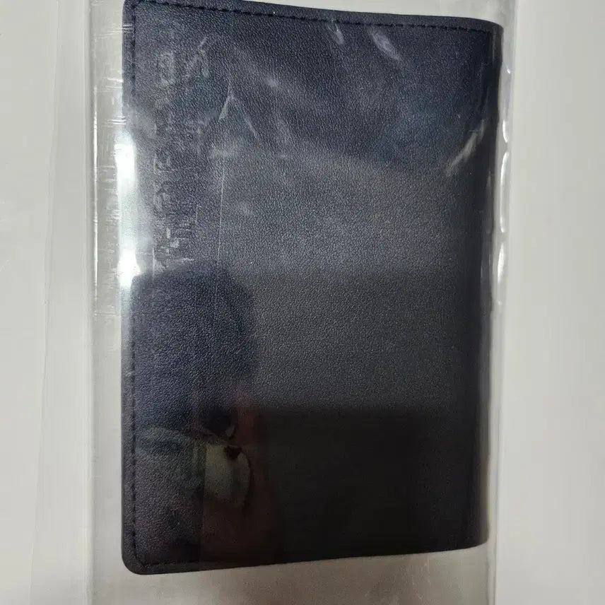 [BUNJANG] RIIZE Passport Case / 라이즈 RIIZE 여권케이스