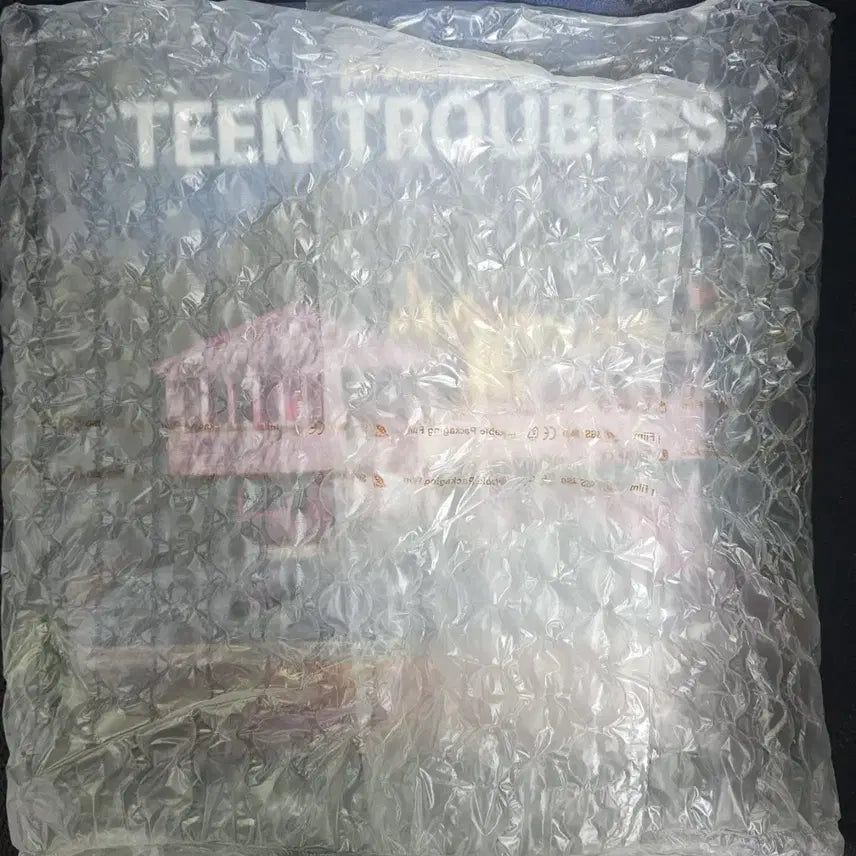 [BUNJANG] The Black Skirts Teentroubles LP (3rd Album) - Translucent Green Vinyl / 미개봉 검정치마 틴트러블스 lp 엘피 3집 판매 및 교환
