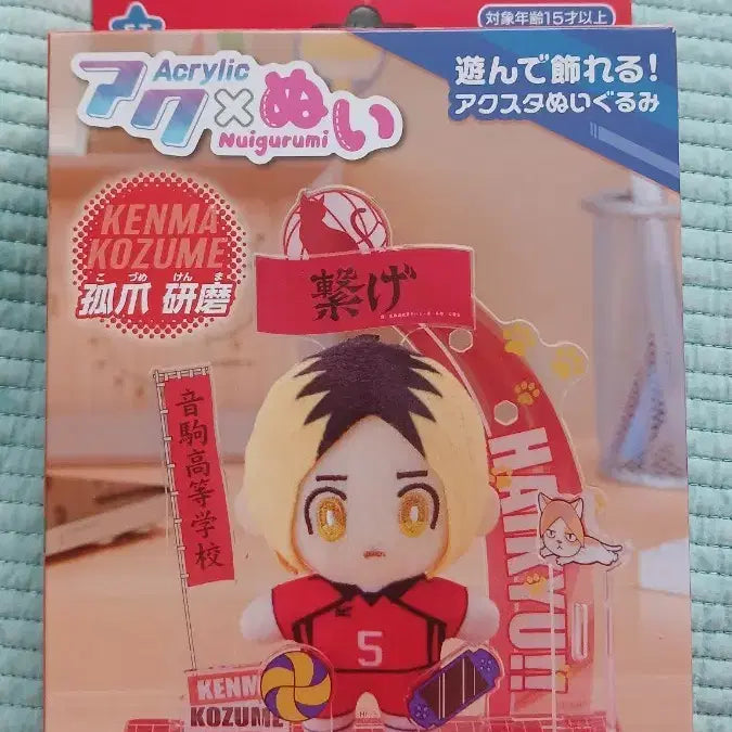 [BUNJANG] Haikyuu!! Kozume Kenma Sega Acrylic Plush Figure (Sealed) / 최저가 급처 하이큐 코즈메 켄마 세가 아크누이 아크릴 누이구루미 미개봉