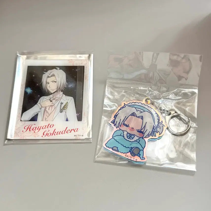 [BUNJANG] Katekyo Hitman Reborn! Hayato Gokudera mochocho Bundle Set / 가히리 가정교사히트맨리본 고쿠데라 하야토 mochocho 일괄