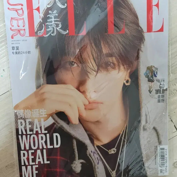 [BUNJANG] Super Elle China Zhang Hao Poster Set / 수퍼엘르 차이나 장하오