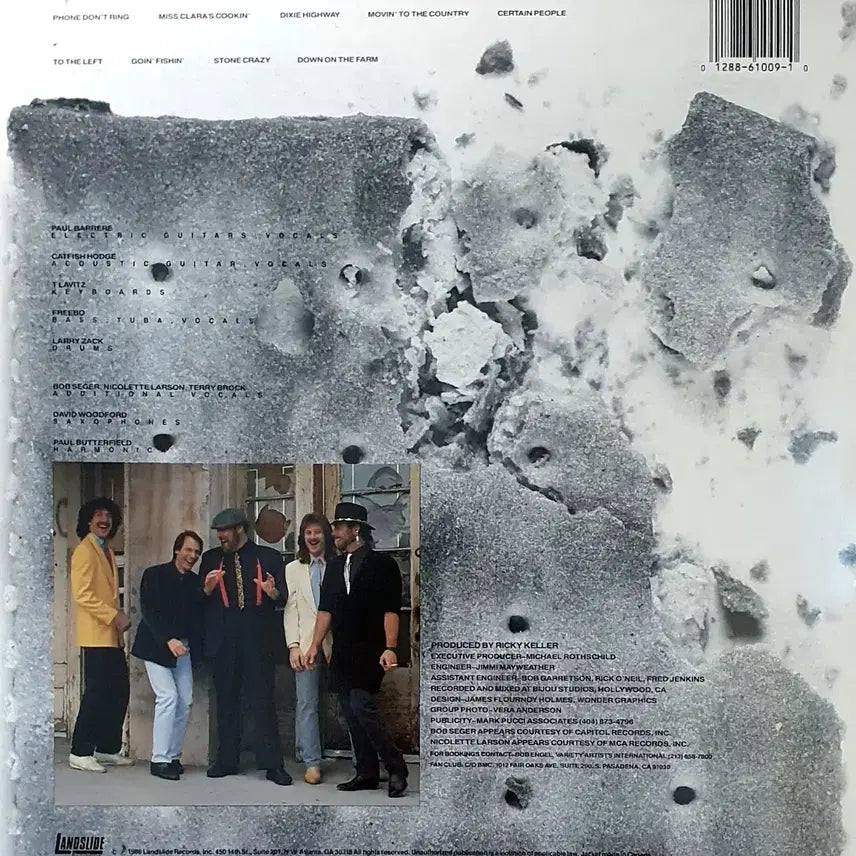 [BUNJANG] The Bluesbusters Accept No Substitute LP / LP ㅡ THE BLUESBUSTERS  / 수입명반