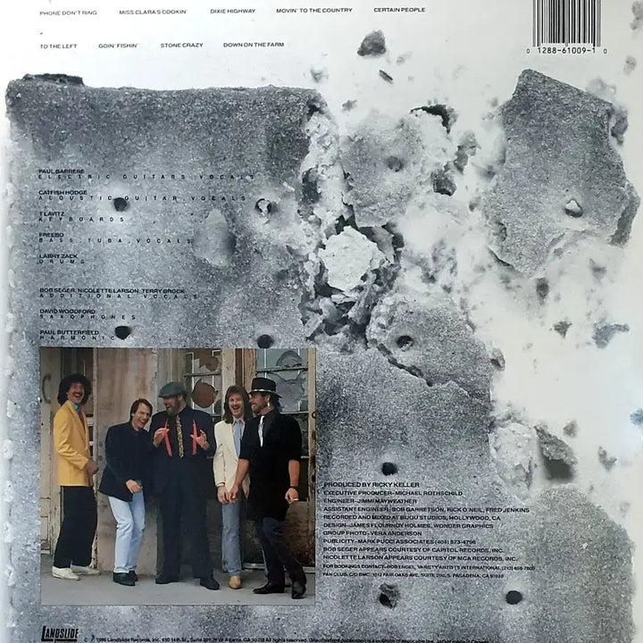 [BUNJANG] The Bluesbusters Accept No Substitute LP / LP (미국 오리지널 초반 ) ㅡ THE BLUESBUSTERS  / 수입명반