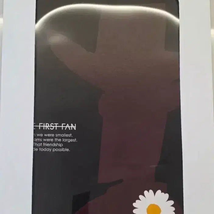 [BUNJANG] Toy Story Woody Daisy Poster / 토이 스토리 우디 데이지 포스터