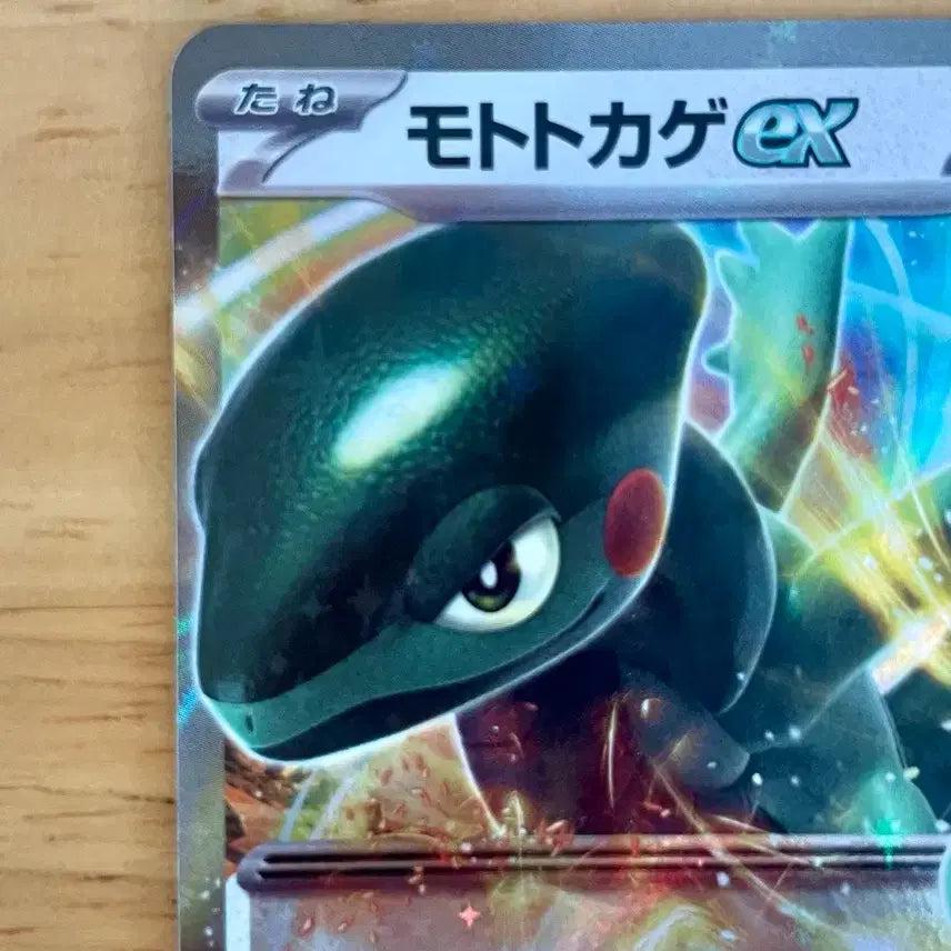 [BUNJANG] Pokemon Card Motoma EX Promo 009/SV-P (Japanese) / 일판 포켓몬카드 모토마 EX 프로모 009/SV-P