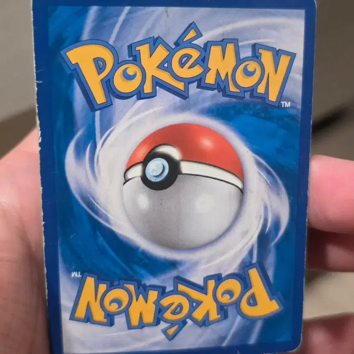 [BUNJANG] Pokemon Card Eevee GX Promo / 포켓몬카드 이븐곰 GX 프로모