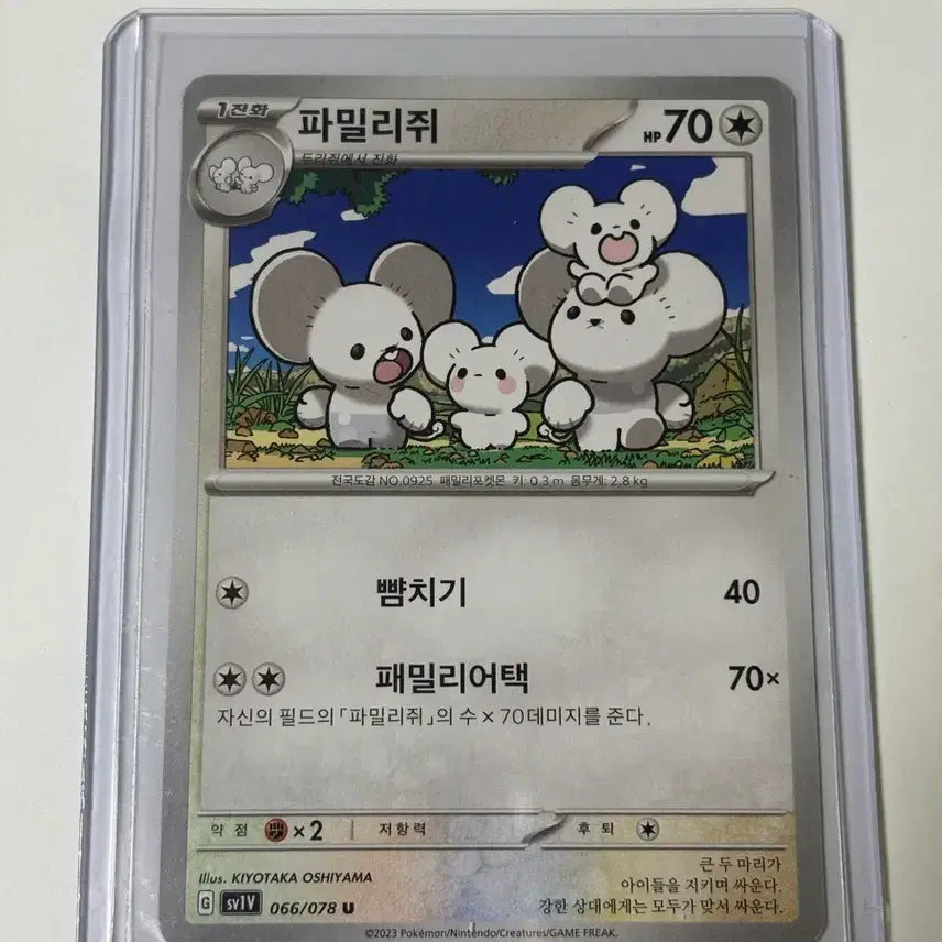 [BUNJANG] Pokemon Card Family of Three 066/078 U / 포켓몬카드 파밀리쥐 066/078 U