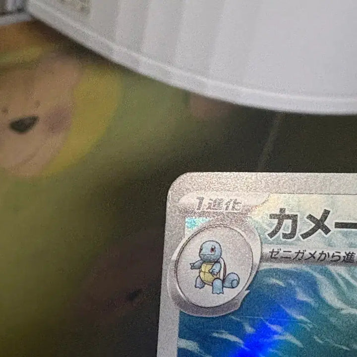 [BUNJANG] Pokemon Card Turtwig AR / (일판)포켓몬카드 어니부기 ar