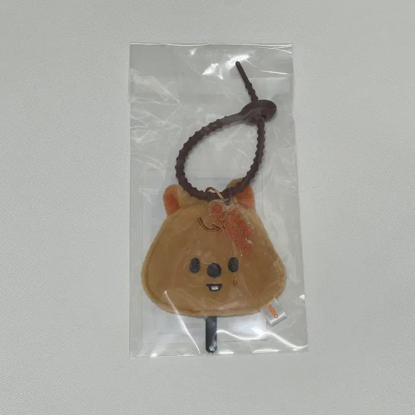 [BUNJANG] Stray Kids Run It MD Mini Picket Keyring / 미개봉) 스키즈 스키주 run it md 미니 피켓 키링 한쿼카