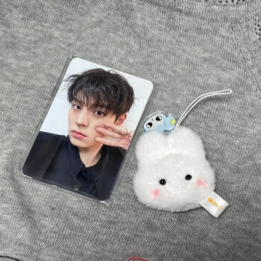 [BUNJANG] Stray Kids SKZOO Run Out Concert Mid-Week (Chung-Kon) Entrance Gift Photocard Lee Know + Doll / 스키즈 런잇 수요일 콘서트 중콘 입장 기프트 포카 리노 인형