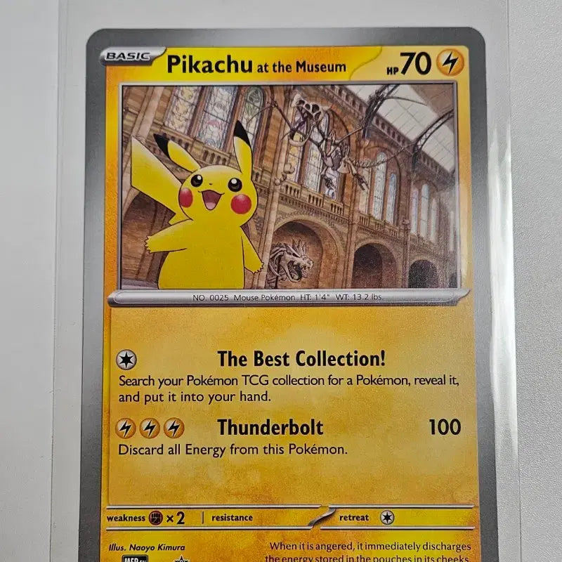 [BUNJANG] Pokemon Card London Natural History Museum Pikachu / 포켓몬카드 런던 자연사 박물관 피카츄