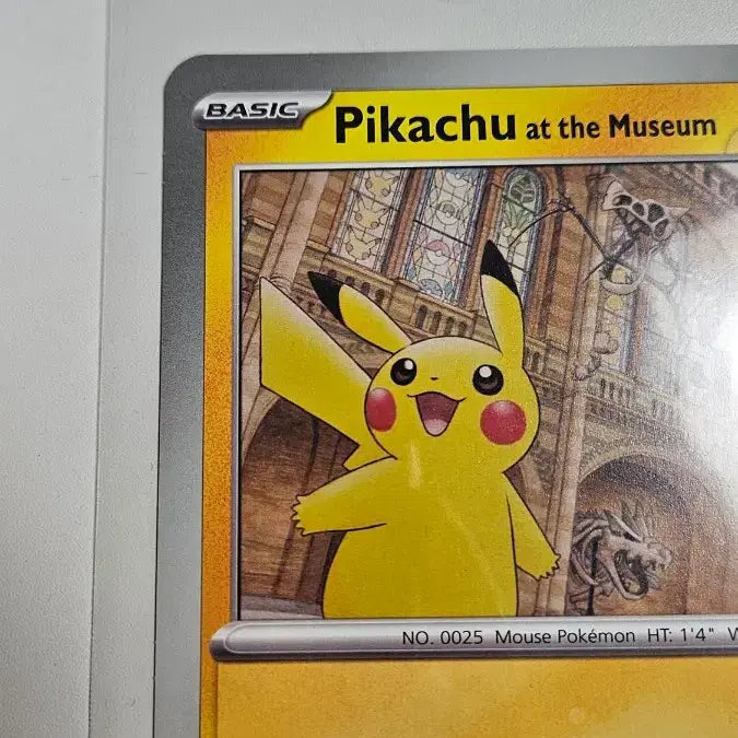 [BUNJANG] Pokemon Card London Natural History Museum Pikachu / 포켓몬카드 런던 자연사 박물관 피카츄