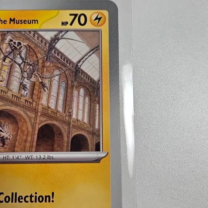 [BUNJANG] Pokemon Card London Natural History Museum Pikachu / 포켓몬카드 런던 자연사 박물관 피카츄