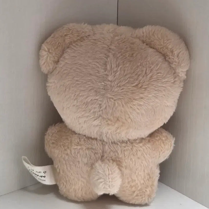 [BUNJANG] Soobin Plush Doll / 솜규빈 팔아요!