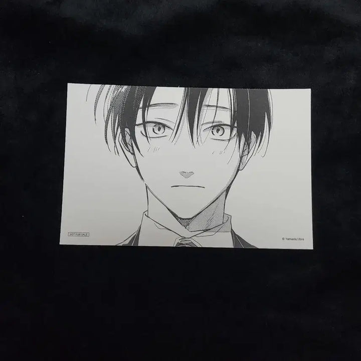 [BUNJANG] Tashiro Goods Postcard Set / 타시로너란녀석은. 타시로 굿즈 판매.특전.투니크.엽서.