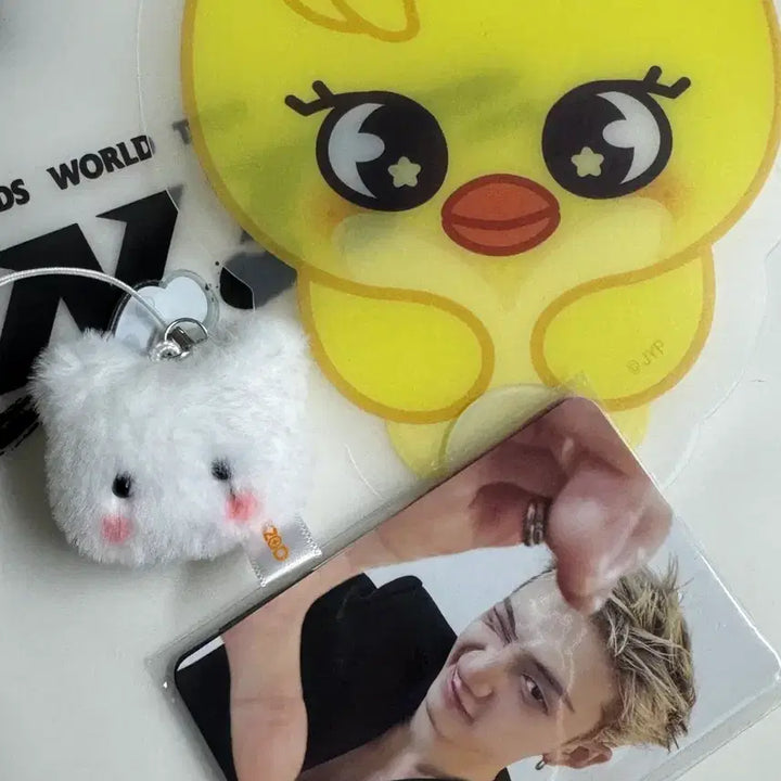 [BUNJANG] Stray Kids Run The World Concert STAY Entrance Gift Bundle / 스트레이키즈 런잇 콘서트 스테이 입장 기프트 8/1일