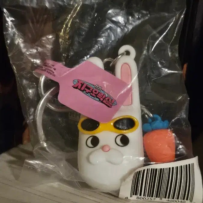 [BUNJANG] Earth Arcade Torong 3D Keyring (Sealed) / [미개봉] 지구오락실 토롱 3D 키링