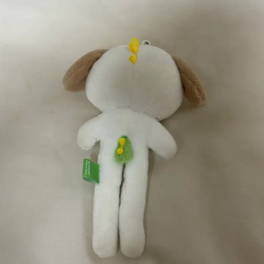 [BUNJANG] RIIZE Anton Long Legs "Meongryong" Doll / 라이즈 앤톤 롱다리 멍룡이 인형 양도