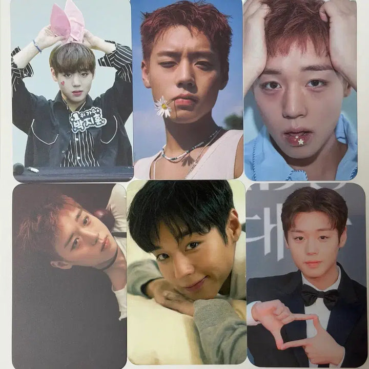 [BUNJANG] Park Ji Hoon Unofficial Photocard Bundle Set / 박지훈 비공굿 포카 일괄