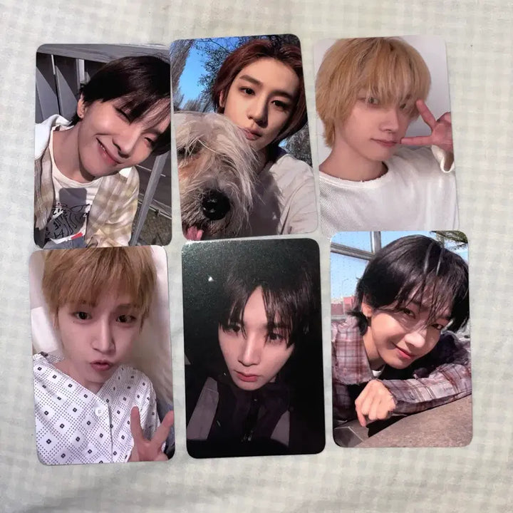 [BUNJANG] BOYNEXTDOOR Home Showcase Photocard Set / 보넥도 홈 쇼케이스 전체 포카 양도