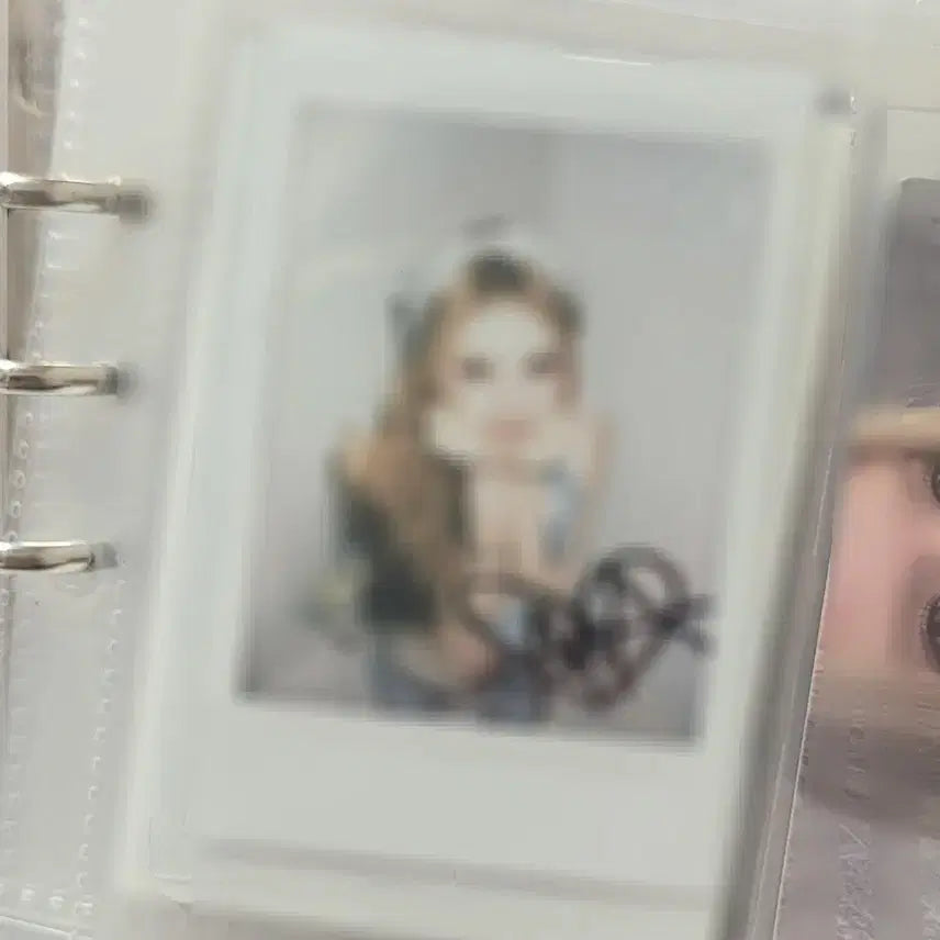 [BUNJANG] Odd Youth Maya Signed Polaroids Bundle Set / 오드유스 귄마야 마야 싸인폴라 사인폴라 싸폴 양도