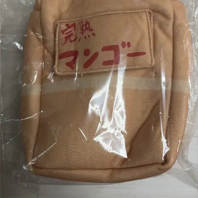 [BUNJANG] Bocchi the Rock! Gotoh Hitori Case Plush Doll / 봇치더락 완숙망고 고토히토리 케이스인형