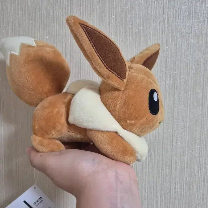 [BUNJANG] Pokemon Center Eevee Plush / 포켓몬 팝업 이브이 인형