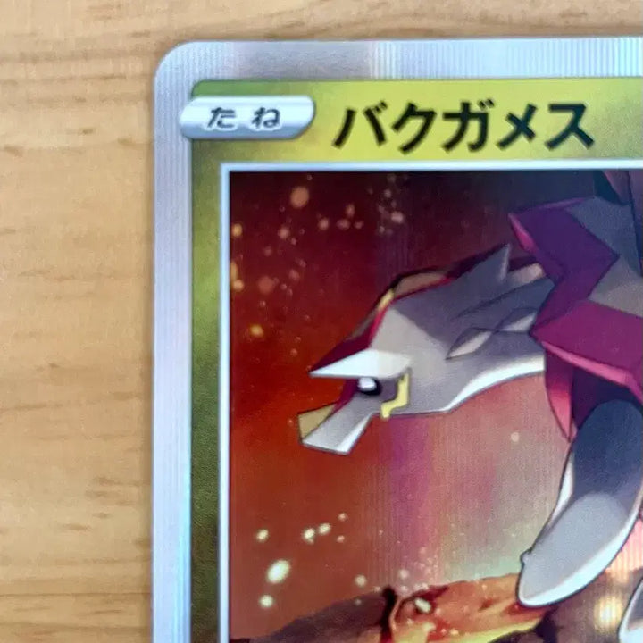 [BUNJANG] Pokemon Card Dragon Get Challenge Typhlosion Promo 211/S-P / 일판 포켓몬카드 드래곤겟챌린지 폭거북스 프로모 211/S-P