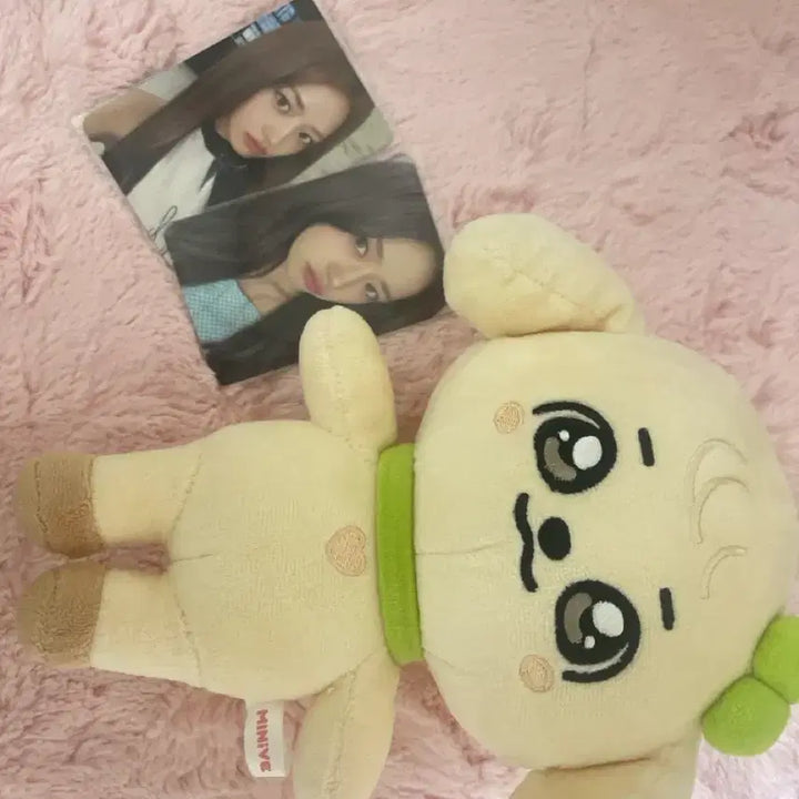 [BUNJANG] Minive Kang Anji Doll Set with Yujin Photocards / (급처)미니브 강안지 인형