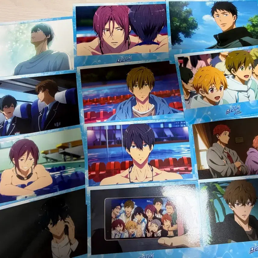 [BUNJANG] Free! The Final Stroke Part 2 Aniplex Lucky Draw Photocard Full Set / [풀세트] free! 프리 더 파이널 스트로크 후편 애니플러스 특전 굿즈