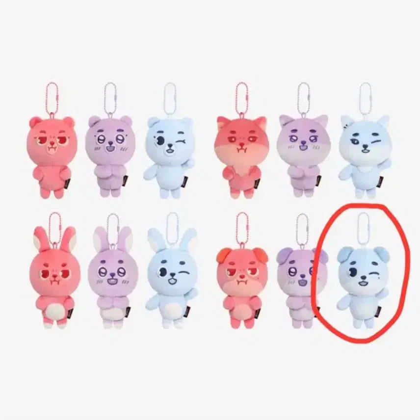 [BUNJANG] Day6 Animalz Secret Don Sky Blue Plush / 데이식스 앙콘 엠디 데니멀즈 시크릿 돈 스카이블루